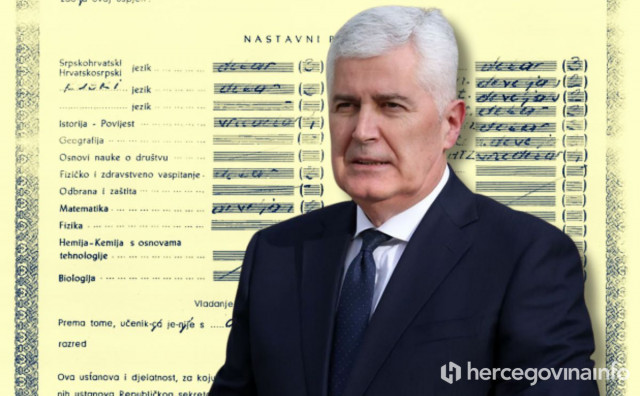 covic diploma