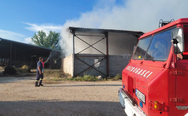 U požaru kod Širokog Brijega stradale dvije krave