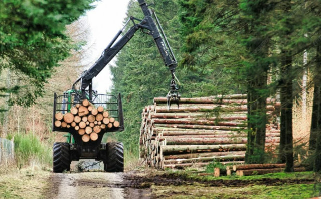 Dvije osobe iz Bugojna zatečene u krađi šume na području Kupresa