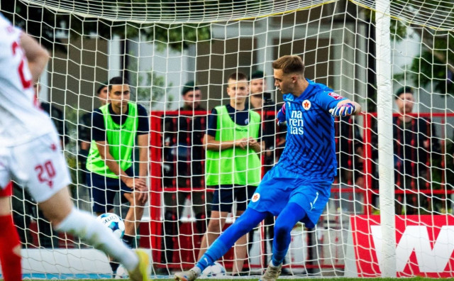 Tarik Karić