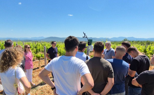 U Međugorju predstavljen projekt digitalizacije vinograda