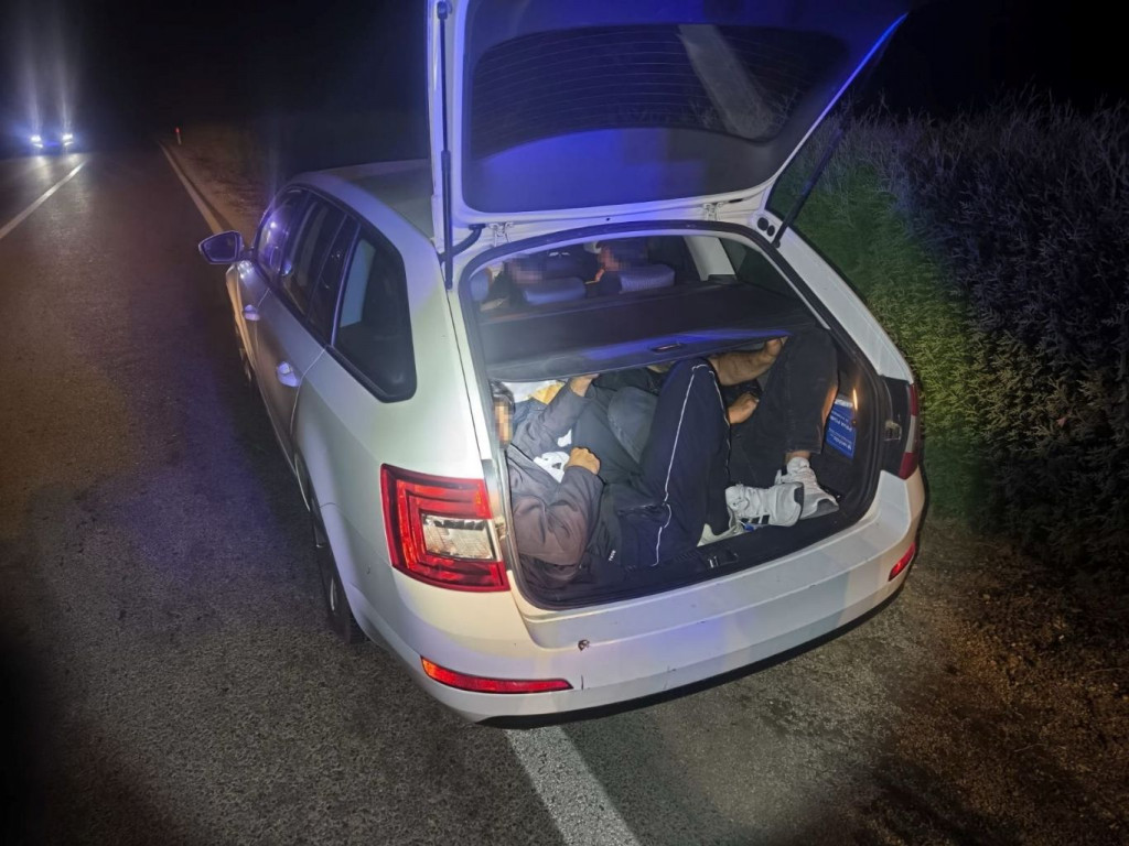krijumčarenje migranata u Gradišci