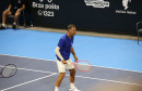 dodig