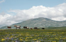 krug planina