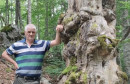 Nedjeljko Pokrajčić