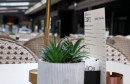 Slastičarnica Dora, Urbani vrtovi