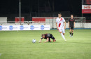 Zrinjski Valur