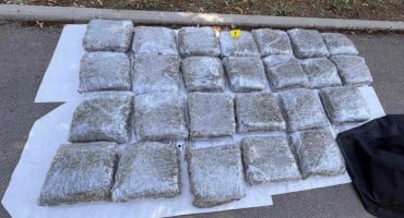 FUP zapljena droge, marihuana