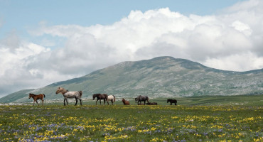krug planina