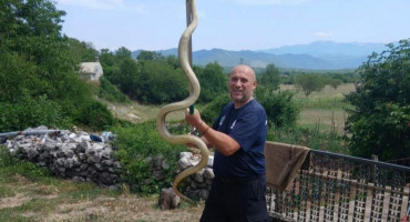 Mišo Pamučina