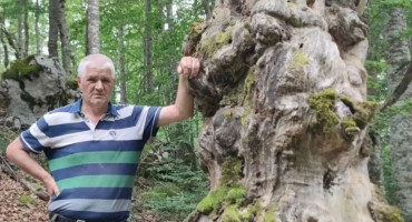 Nedjeljko Pokrajčić