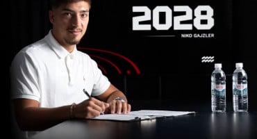 Niko gajzler 