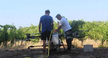Vinarija Čitluk uvela je poljoprivredni dron DJI AGRAS T100 za zaštitu i prihranu vinograda. Prvi je put korišten na 50 hektara u Dubravama.