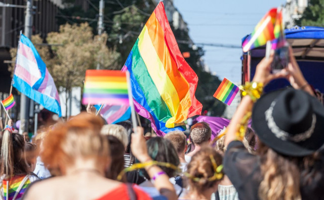 Njemački AfD želi zabraniti gay zastavu