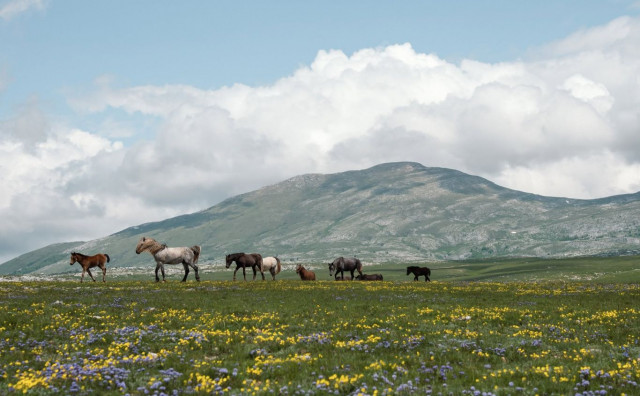 Krug planina korak bliže zaštiti: 'Za velike energetske zahvate i rudarenje ovdje nema mjesta'
