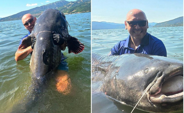 Divovski som od 113,5 kg i 262 centimentra ulovljen na Dunavu
