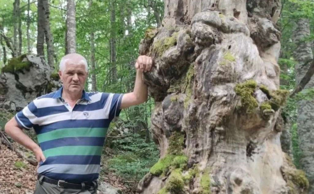 Nedjeljko Pokrajčić