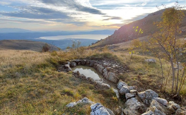 tušnica