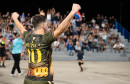 Liga Hercegovina