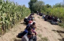Migranti