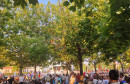 Mladifest 2026