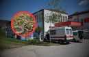 Mladića ugrizao poskok i bez seruma ga poslali motorom za Mostar. Život mu spašen u SKB