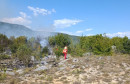 Požar Hamzići