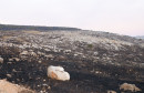 požar kod Tomislavgrada Ljubuša