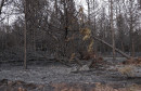 požar kod Tomislavgrada Ljubuša