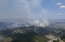 šuma požar planina Risovac
