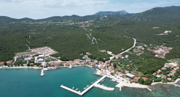 Drače Pelješac