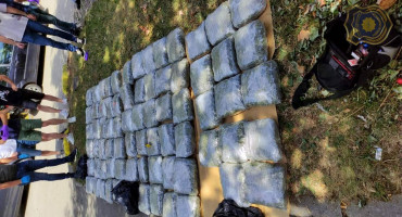 droga cannabis akcija Transporter