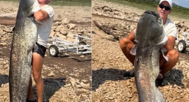 Na Bilećkom jezeru ulovljen je som dug 2,06 metara i težak oko 50 kilograma. Ribolovac ga opisuje kao osobni trofej i rezultat višegodišnjeg rada.