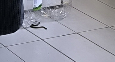 Poskok u kući u Metkoviću