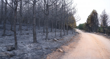 požar kod Tomislavgrada Ljubuša