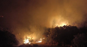 Požar kod Trebinja