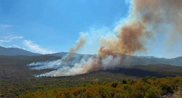 Požar na području Puteševice kod Gruda širi se prema hrvatskoj granici. U pomoć su stigli vatrogasci iz Imotskog i Vrgorca.