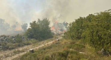 Požar Trebinje