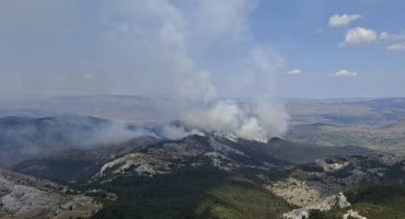 šuma požar planina Risovac