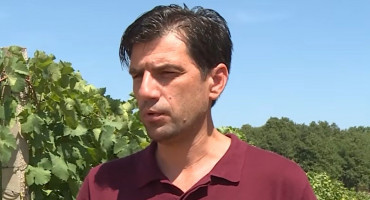 vinogradar Josip Marijanović