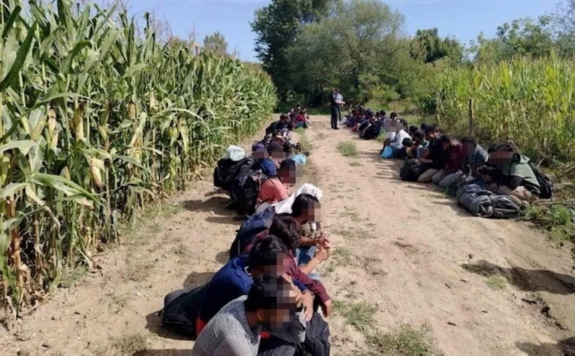 Akcija na granici BiH i Hrvatske: Pronađen 61 migrant