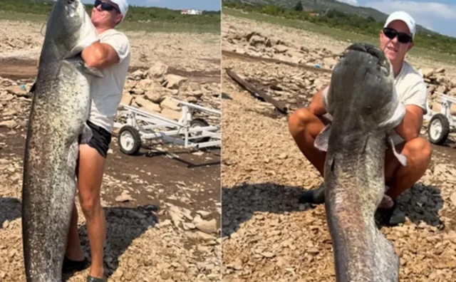 Ulov za pamćenje na Bilećkom jezeru: Som dvometraš od 50 kilograma