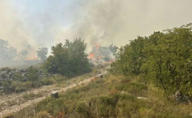 Požar Trebinje