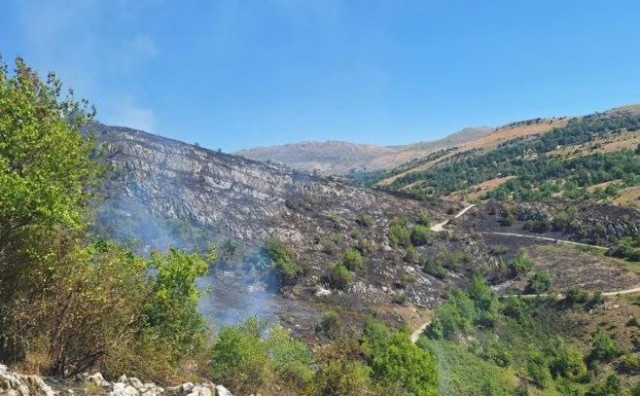 Vatrogasci obranili kuće u Nevesinju, izgorjela jedna garaža