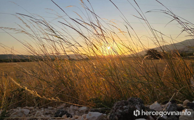 Sunce sunčano vremenska prognoza polje žito