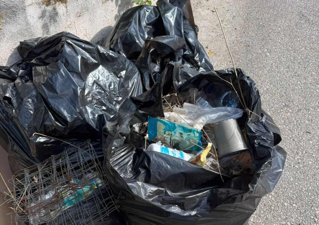 akcija čišćenja u Zaliku