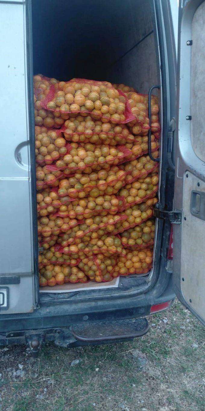 krijumčarenje mandarine
