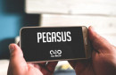 pegasus