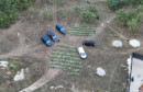 Plantaža marihuane kod Konjica