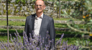 Pero Pavlović